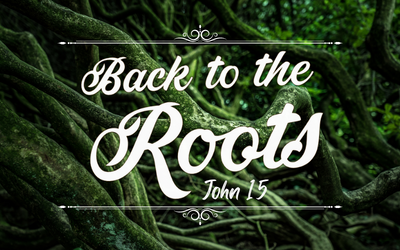 Back to the Roots – The Helper